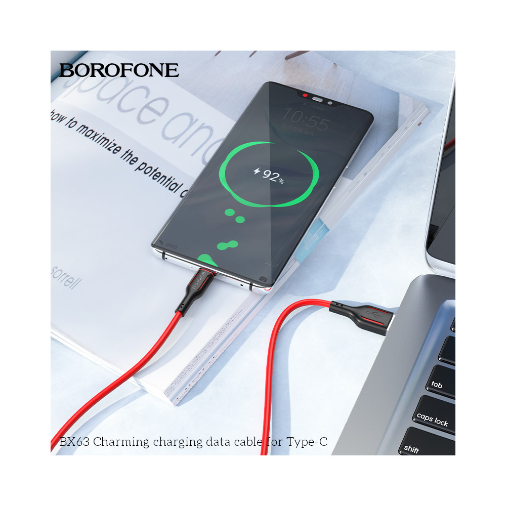 Լիցքավորման Լար Type-C BOROFONE BX63, изображение 6