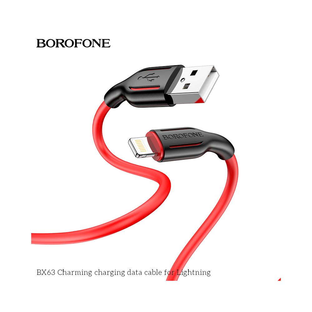 Լիցքավորման Լար Lightning BOROFONE BX63, изображение 4