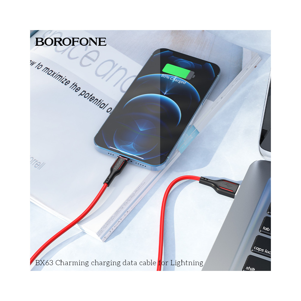 Լիցքավորման Լար Lightning BOROFONE BX63, изображение 6