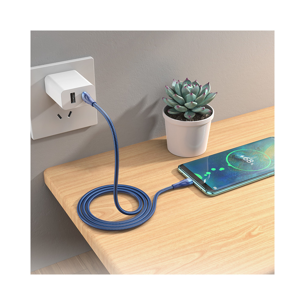 Լիցքավորման Լար Type-C-ից Type-C BOROFONE BX61, изображение 8