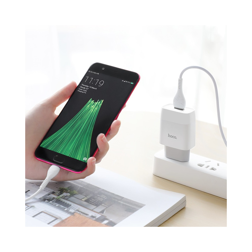 Լիցքավորիչ |HOCO C72A |Type-C, изображение 4