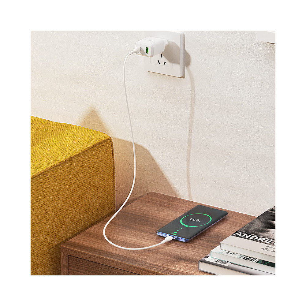 Լիցքավորիչ + Լար Type-C to Type-C HOCO N5 PD3.0/QC3.0, изображение 4