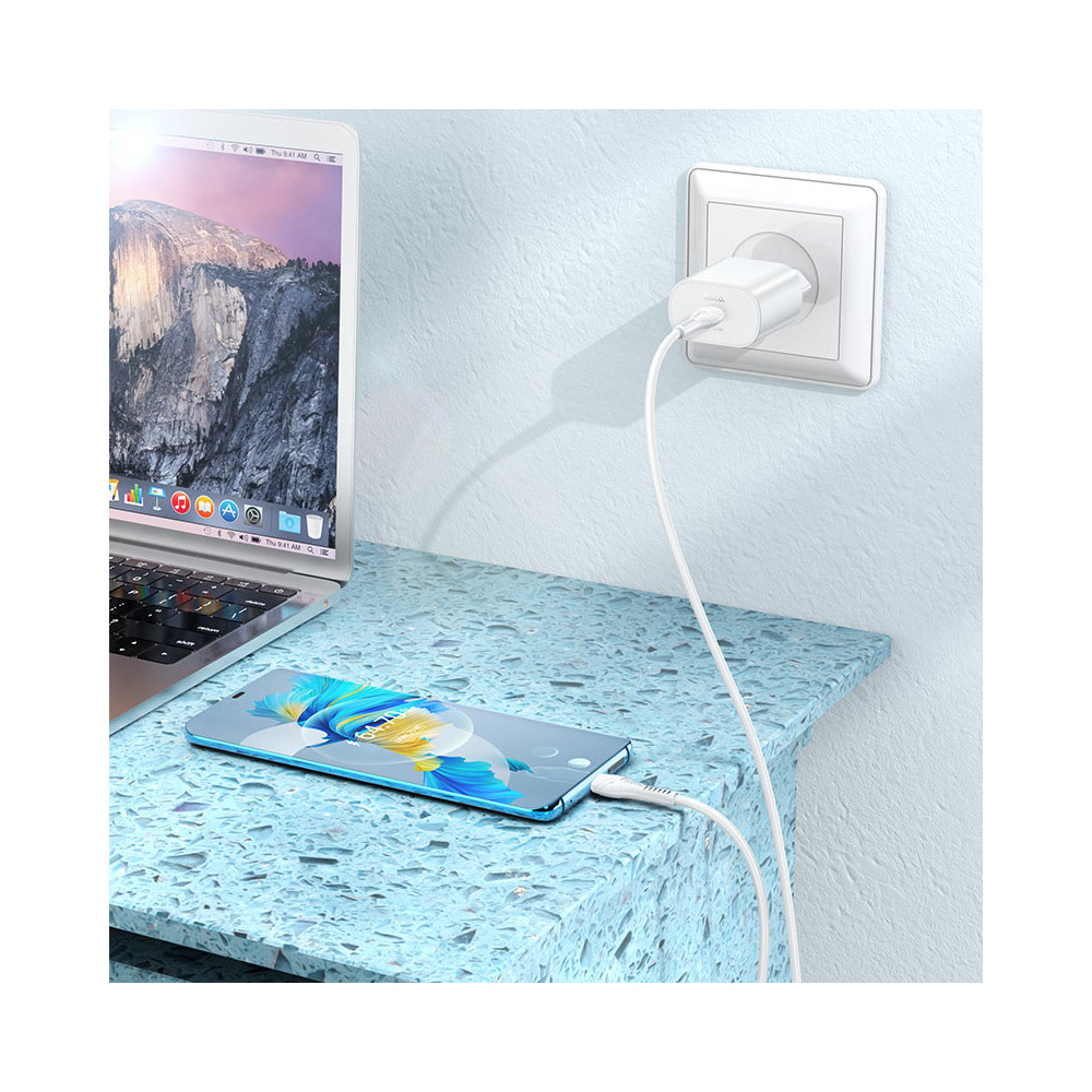 Լիցքավորիչ և Լար HOCO N22 Type-C to Type-C, изображение 4